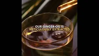 Reduce Pain and Swelling, Lymphatic drainage, improve your circulation with the Ginger Essential Oil