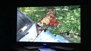 Far cry 3 Tiger attack