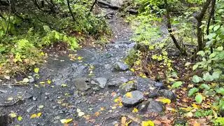Exit Glacier Trail ( The Dirty Trick ) August 2025 Alaska 