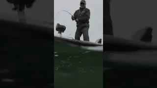 Lund 219 ProV Catch