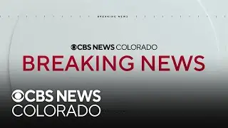 Colorado Parks and Wildlife will not release any wolves in the state in 2026