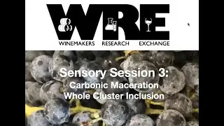 March 4, 2021: Carbonic Maceration/Whole Cluster Inclusion