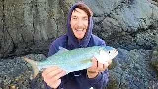 Big Tailor + Small Rod = So Much Funn!!