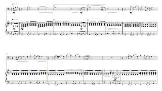 The Beach Boys - Please Let Me Wonder | Cello & Piano