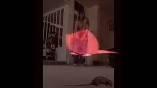 underground hacking type shit