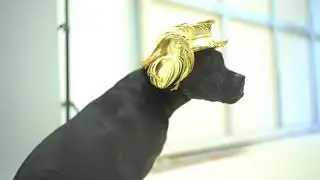 Haute Dogs - Behind the scenes