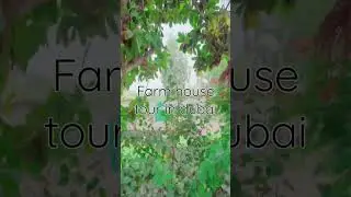 #dubai #shorts #fun #viral #boost #farmhouse #farmhousevlog