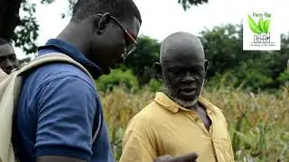 FarmApp Ghana Irrigation Project - Cabbage