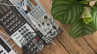 8 mins of ambient // Just Friends // Cocoquantus // Triple Sloth // Microcosm