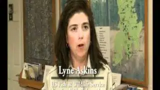 NRCS' Longleaf Pine Initiative: South Carolina