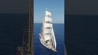 Die Star Flyer von Star Clippers ist ein Segelschiff f&uuml;r eine unvergessliche Schiffsreise 😍! #segeln