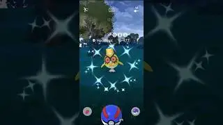 Shiny New Years Hoothoot - Pok&eacute;mon GO - #costumeshiny #shinyhunting #newyears