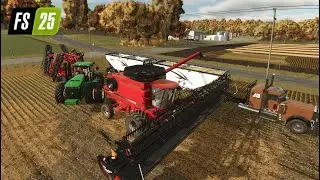 Huge Soybean Harvest! | Gets Too Muddy! | Roleplay! | FS25