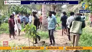 Tiger Attack On Cow at Eluru Agency