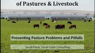 Preventing Pasture Problems on the Organic Dairy