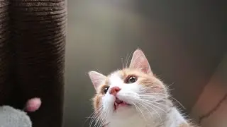 A day of doing nothing