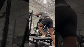 Pit Shark Speed Step-Ups