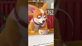 MOCO and YUMMY🐶 - A Complete Neat Freak ##MOCO - Flying MOCO Shorts ##MOCO (2022)