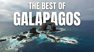 The Best of Gal&aacute;pagos | Exploring a Wildlife Paradise