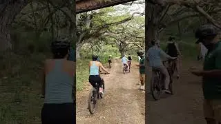 Jurassic Valley e-bike | KUALOA RANCH | OAHU