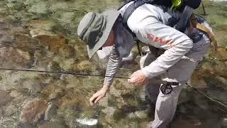 Mineral Creek