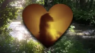 Todos los audios me funcionan sin importar qu&eacute; (audio subliminal)
