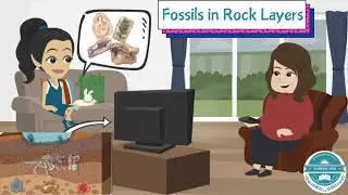 Interpret Evidence From Fossils in Rock Layers | The Captain AHS-Show | General Science