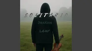 Solitario