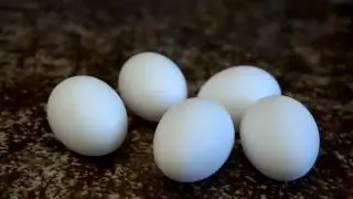 14 Incredible Edible EGG Tricks! 640x360
