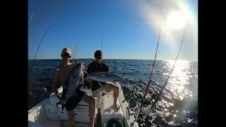 How to Catch Amberjack- Vertical and slow pitch jigging