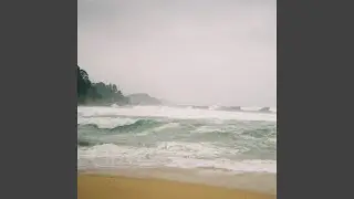 meer
