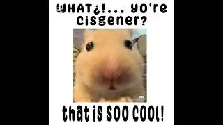 dm this to your favorite cis person! #mawiapocalypse #mawi #cisgender #trans #hamster