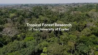 Tropical Forest Research at the University of Exeter