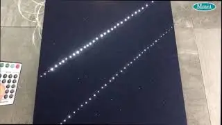 new 12 ports shootings fiber optic light
