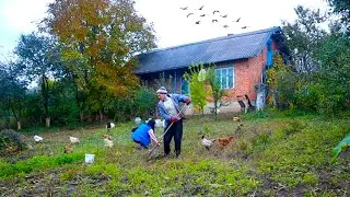 Autumn Garden Care: Preserving Vegetables, Preparing for Winter, and Cooking Seasonal Dishes