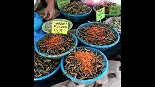 Exploring Mercado de la Merced &ndash; Mexico City&rsquo;s Largest Food Market