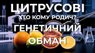 The Great Citrus Deception: Who is Related to Whom?