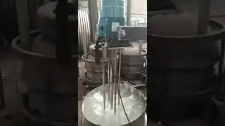 Batch High Shear Mixer/ Emulsifier/ Intank Homogenizer by FPS