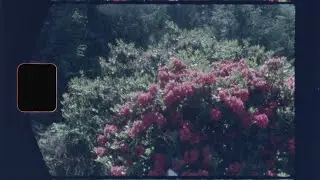 Write A Play - Grace Desbarats (Music Video)