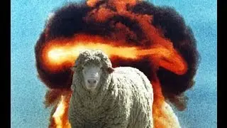 Lets play!: Arma II: Operation Arrowhead: Sheep