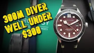 SPINNAKER Cahill 300   Under $250 Automatic 300m Diver 12 Hour Bezel Textured Dial NH35