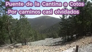 Puente de la Cantina-Puerto de Cotos por caminos casi olvidados