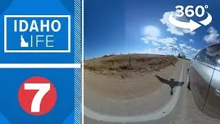 360 VIDEO: Be a wing-man to a lovesick goose