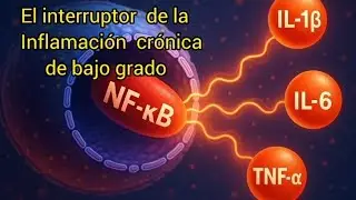 ACOMO APAGAR EL INTERRUPTOR DE LA INFLAMACION CRONICA 