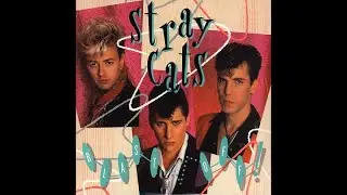 Stray Cats 