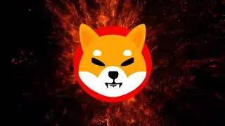 This Video BURNS SHIB