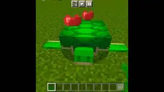 how to tame turtle in Minecraft|| #minecraft #short #short video