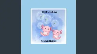 Real Life Love