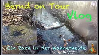 Unterwasserwelt #1 Ein Bach in der Wahnerheide mit wundersch&ouml;nen Bildern