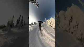 Skibike downhill in Norway #shorts
